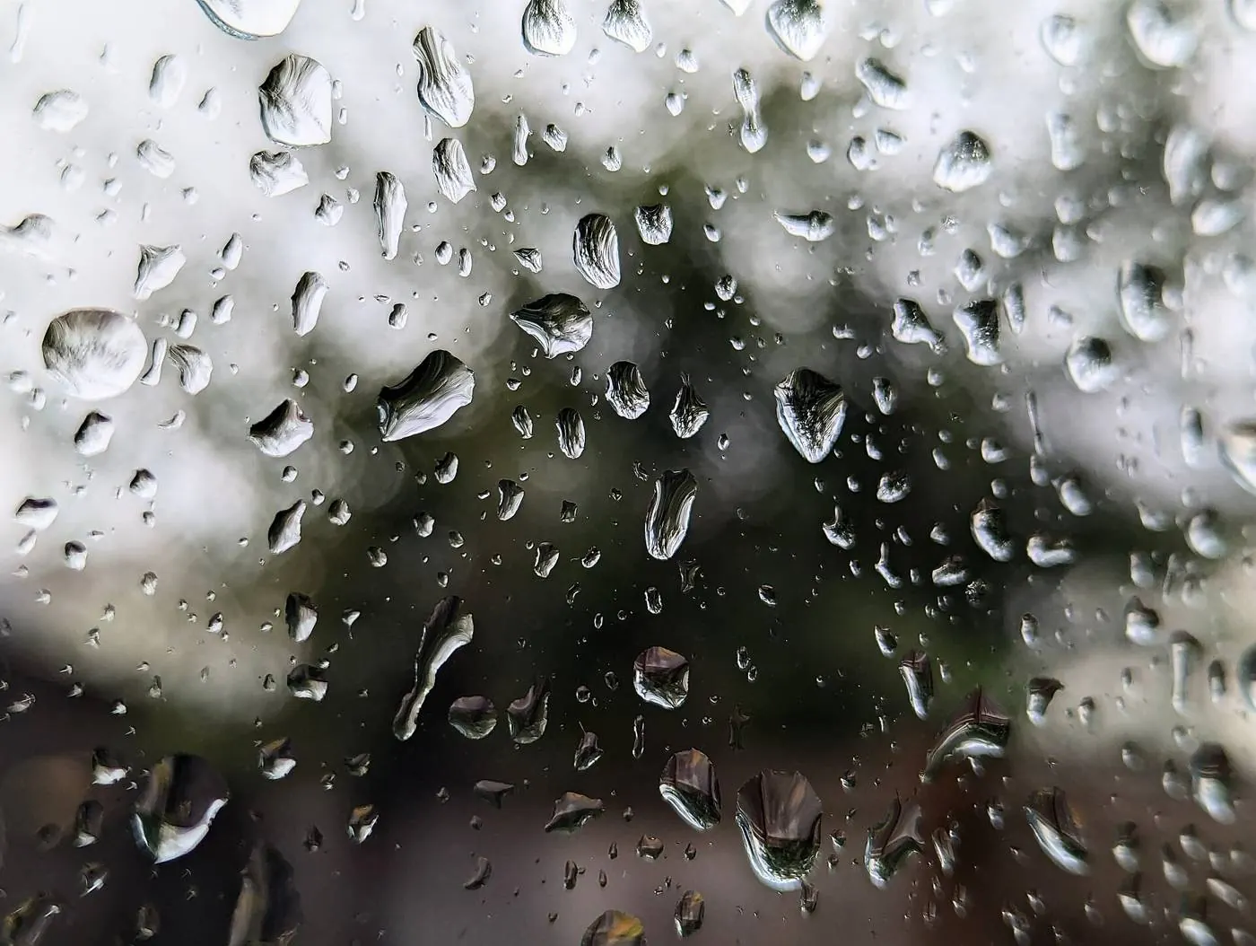 Raindrops on a window pane