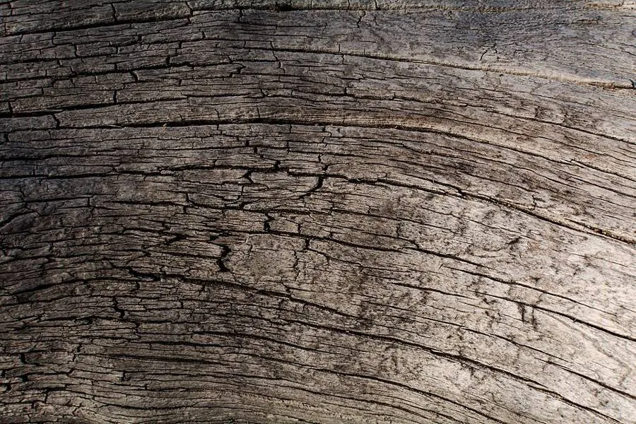 Weathered grey wood with deep grain